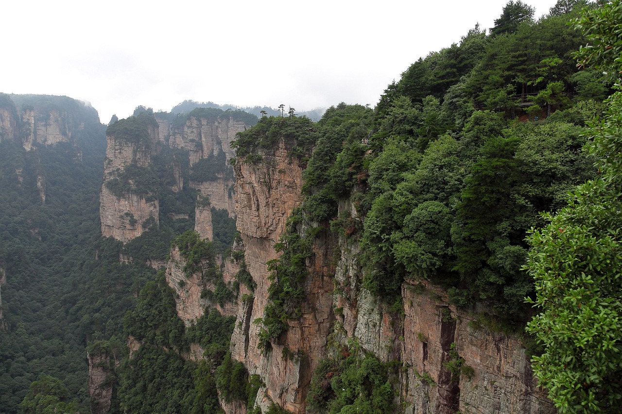 Lush Green Valleys